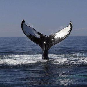 吴敏农场的驴全文阅读
